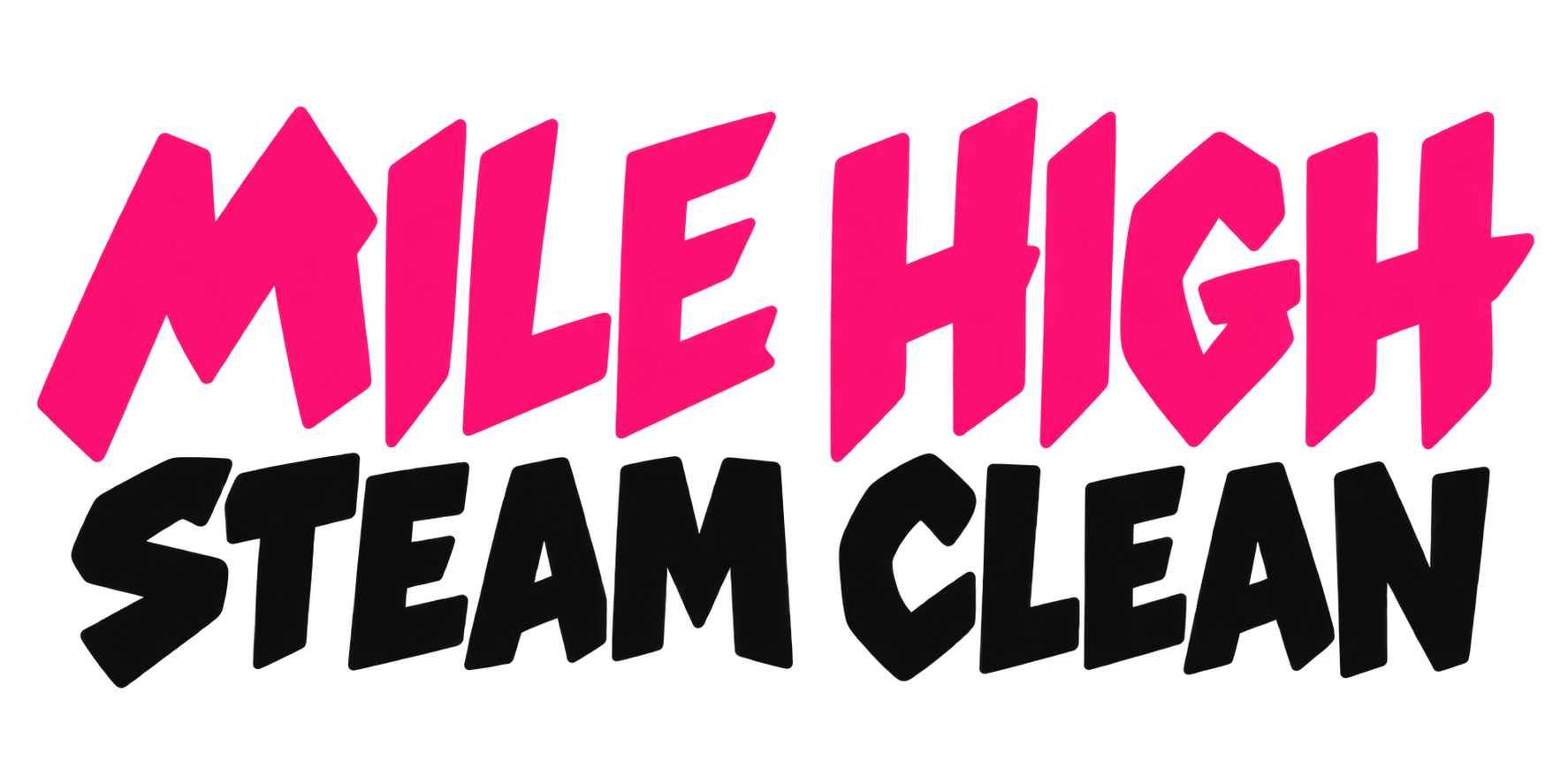 Mile High Steam Clean